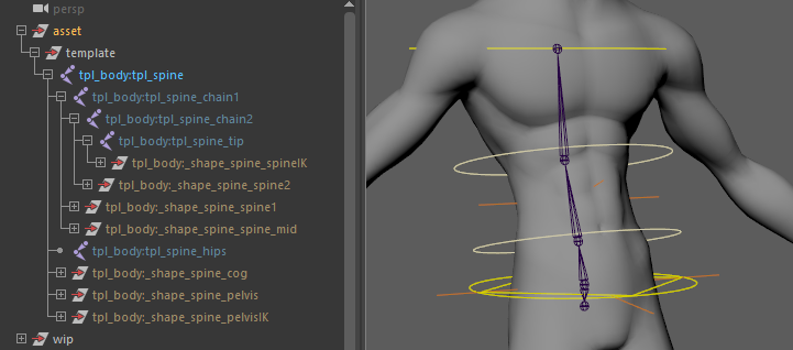 Spine Placement