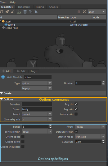 spine options