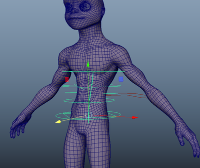 spine placement